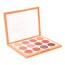 Palette 12 Fards à Paupières Apricot